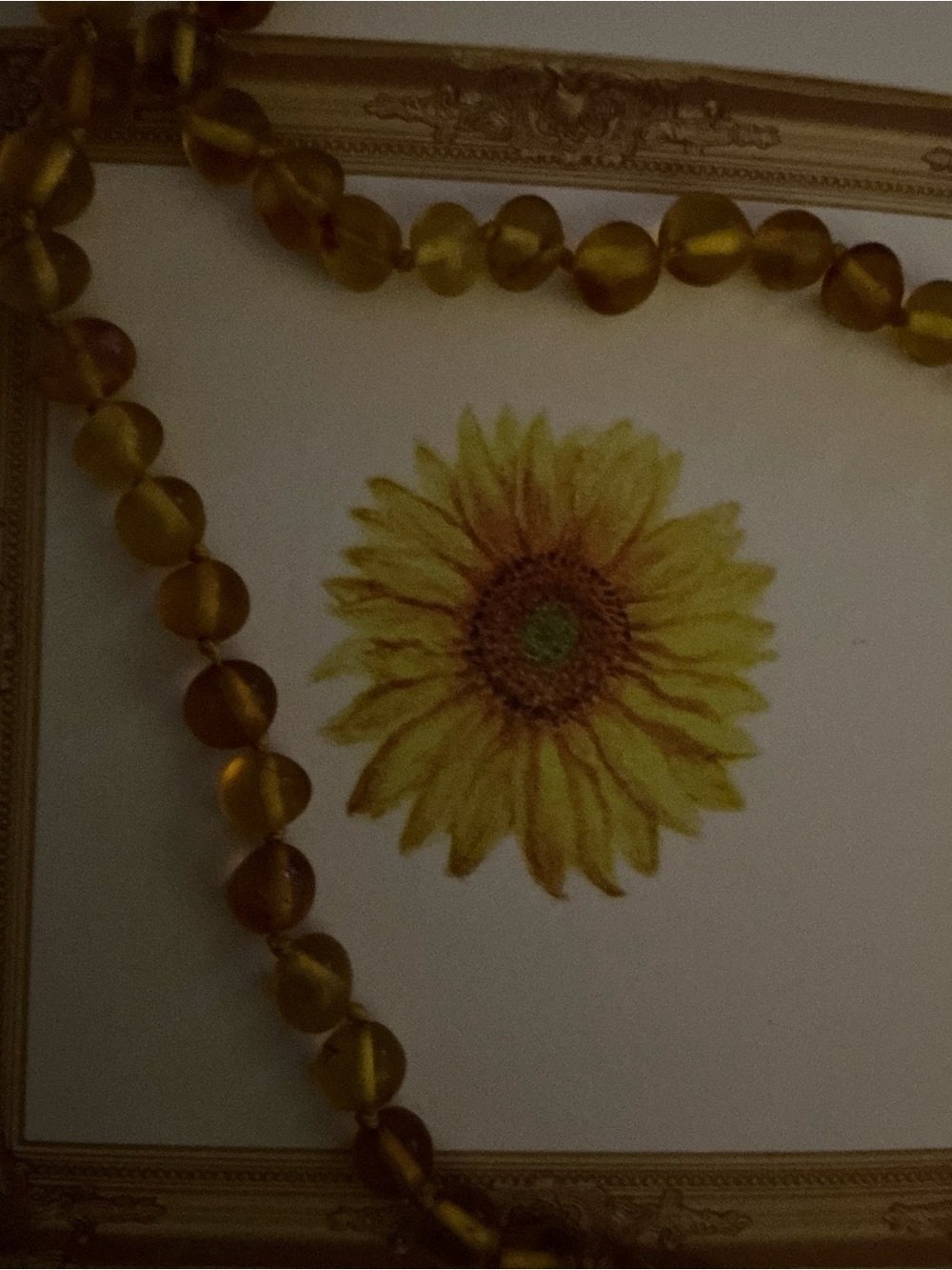 Natural amber bead necklace